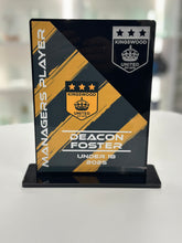 Load image into Gallery viewer, Large Acrylic Award - KU
